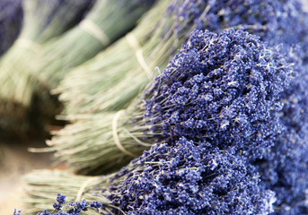Lavendel