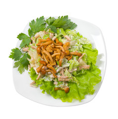salad with mushroom and squid .