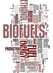 Bio Fuel tag cloud