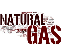 Natural Gas word cloud
