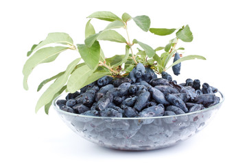 Fresh berries