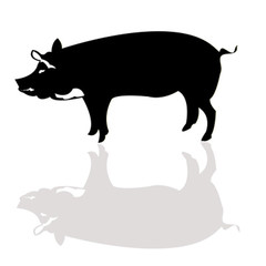 Pig silhouette