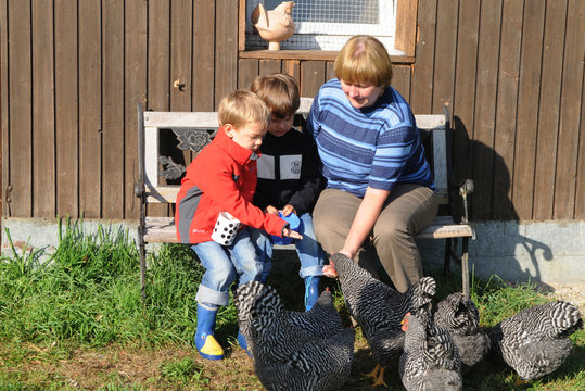 Mit Oma H&uuml;hner f&uuml;ttern