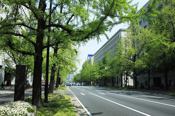 新緑の御堂筋