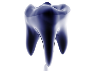 Molar tooth illustration