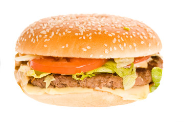 a photo of a tasty sandwich