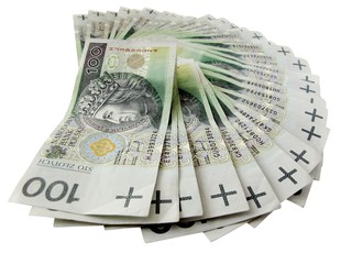 polish currency