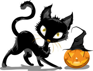 cat and pumpkin