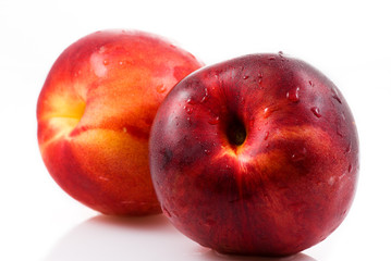 Nectarines