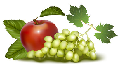 Photorealistic vector illustration. Fruits.