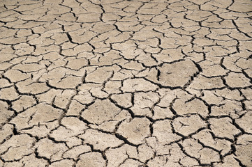 Wasserknapheit