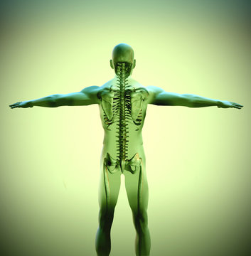 Anatomy 01