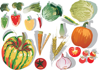 set of different vegetables