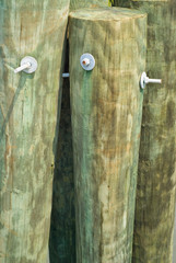 Pilings on a Wharf