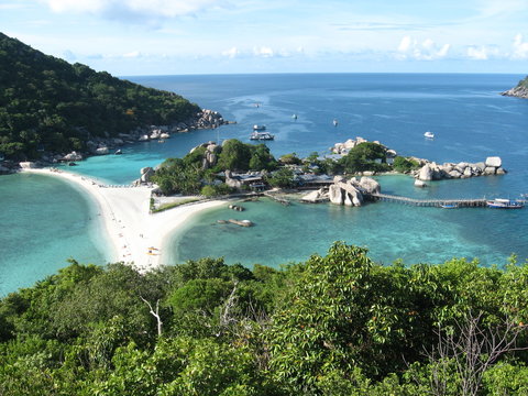 Paradiso tropicale