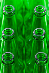 rows of green beer bottles