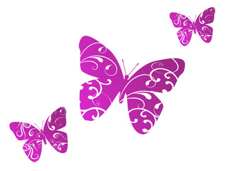 Schmetterlinge © Pixi