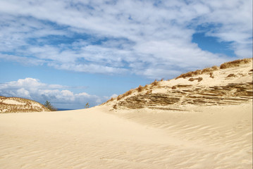 dunes at the Baltic sea