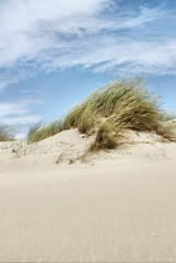 dunes at the Baltic sea