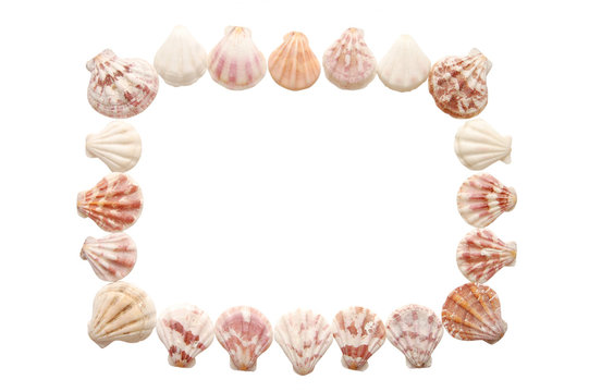 sea shell frame isolated on a white background