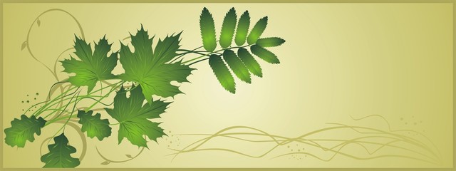 Leaves. Abstract composition for banner. Vector