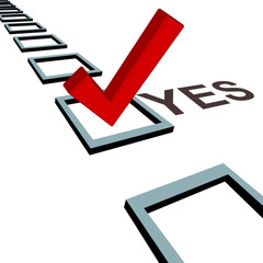 Check mark to vote yes 3D box poll election