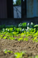 あると思います