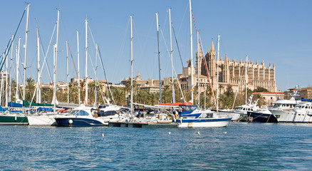 Obraz premium Cathedral of Palma de Mallorca