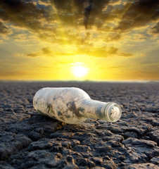 old thrown out bottle