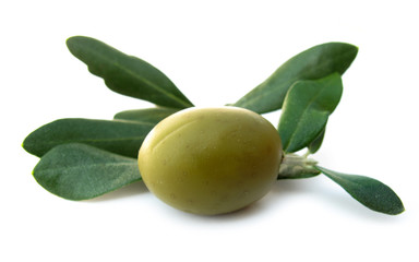 Olive with green leaves