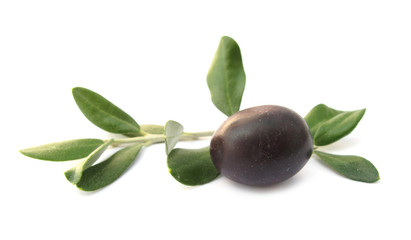 Obraz na płótnie Canvas Olive with branch and leaves