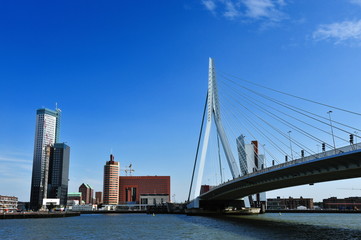 Fototapeta na wymiar Most Erasmus w Rotterdamie