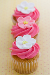 Mini flower cupcakes