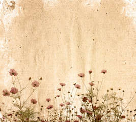 old flower