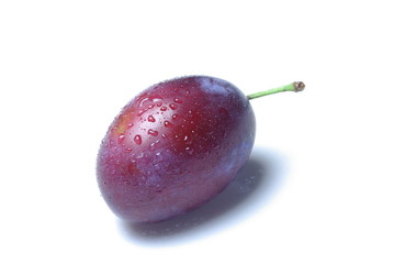 濡れたプルーン