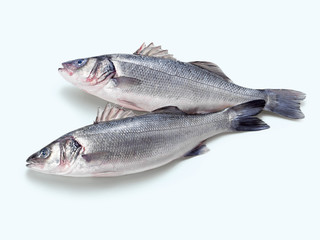 Sea Bass (Wolfsbarsch)