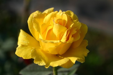 Visita al vivaio (44)