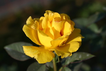 Visita al vivaio (41)