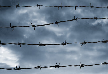 Barbed wire