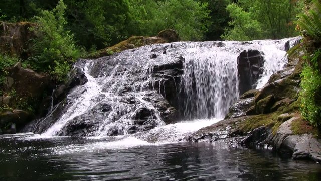 Sweet Creek Falls in Oregon