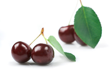 Cherry; objects on white background