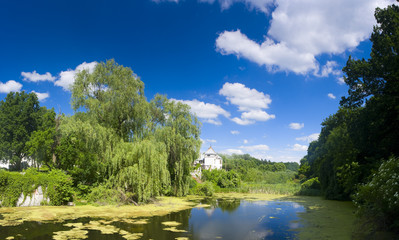 landscape with pond