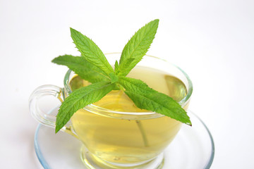 Tea cup with mint leaves on a white background
