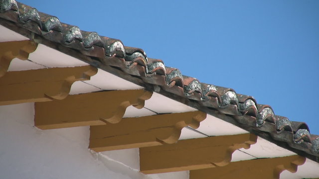 Techo y mariposas