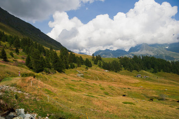 Pianoro di montagna con nuvole all' orizzonte