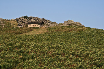 cabane du berger 1