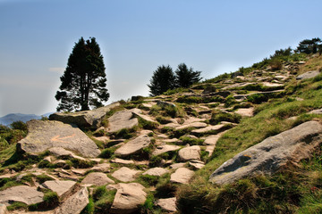 chemin accidenté