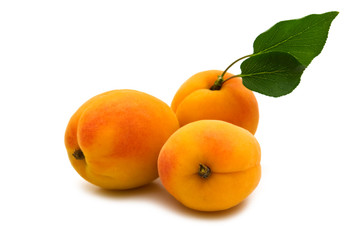 fresh apricot on white background