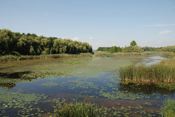 Wetland at Kanyavar Island