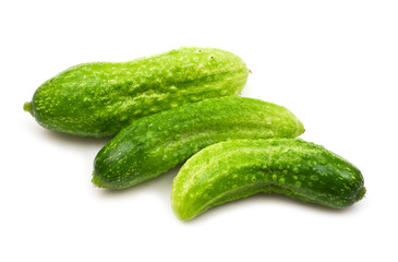 fresh bio cucumber on white background